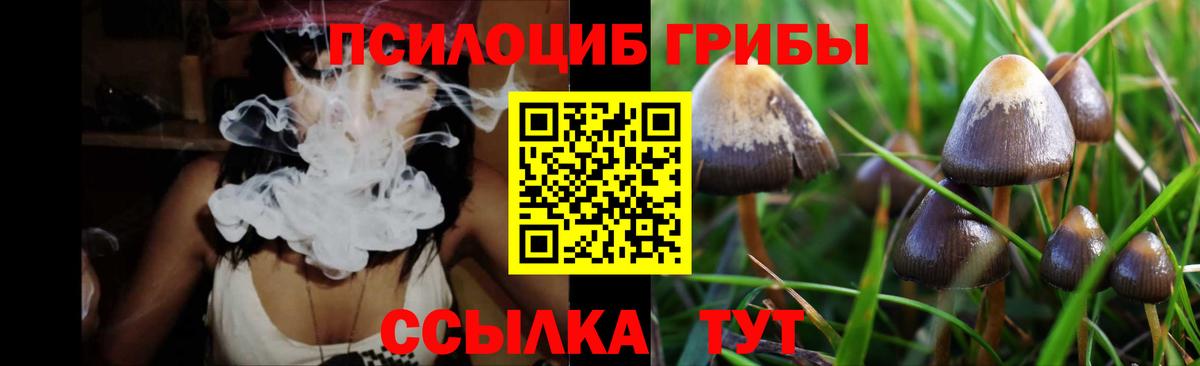 Галлюциногенные грибы мицелий Узловая